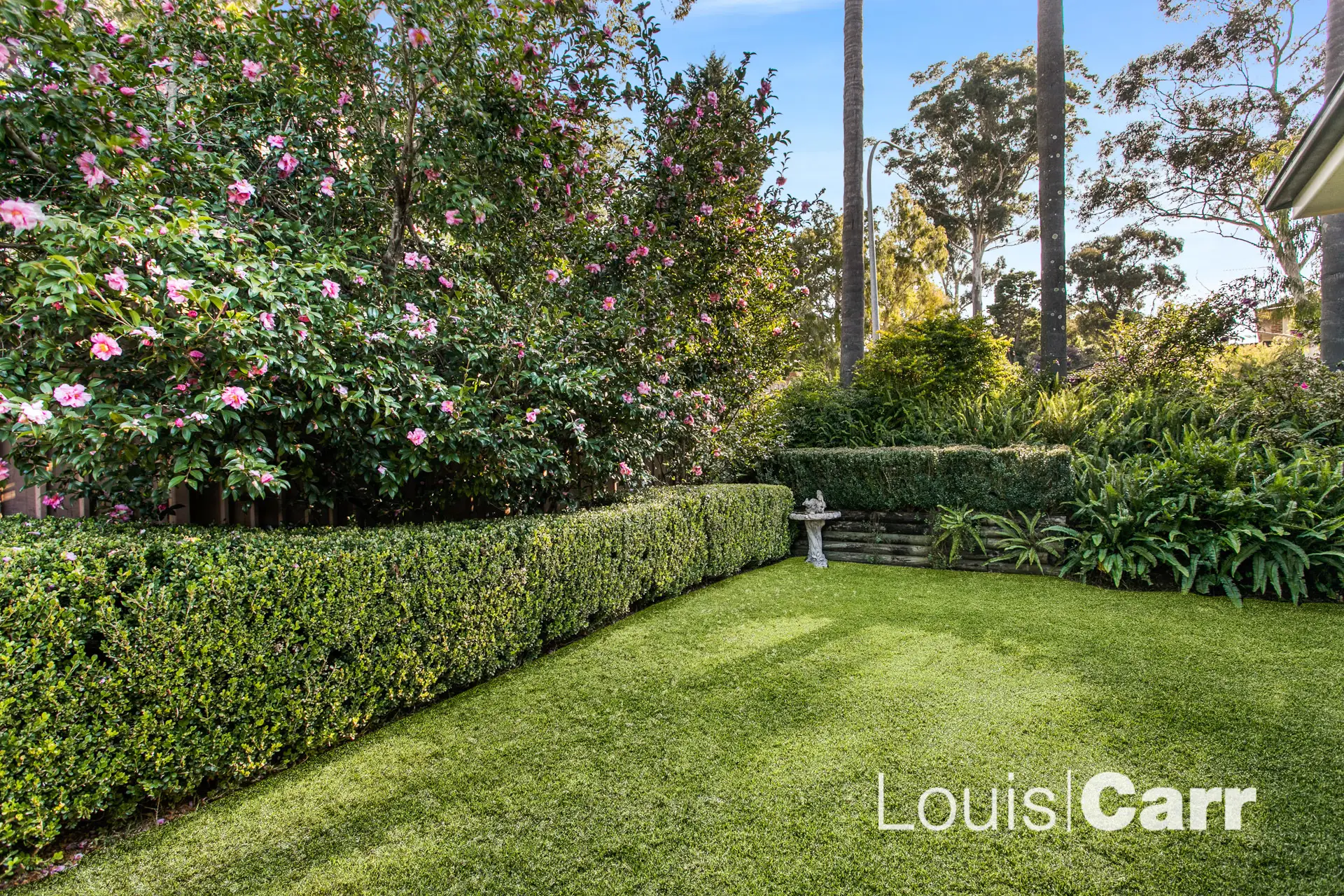 33 Casuarina Drive, Cherrybrook Sold by Louis Carr Real Estate - image 6
