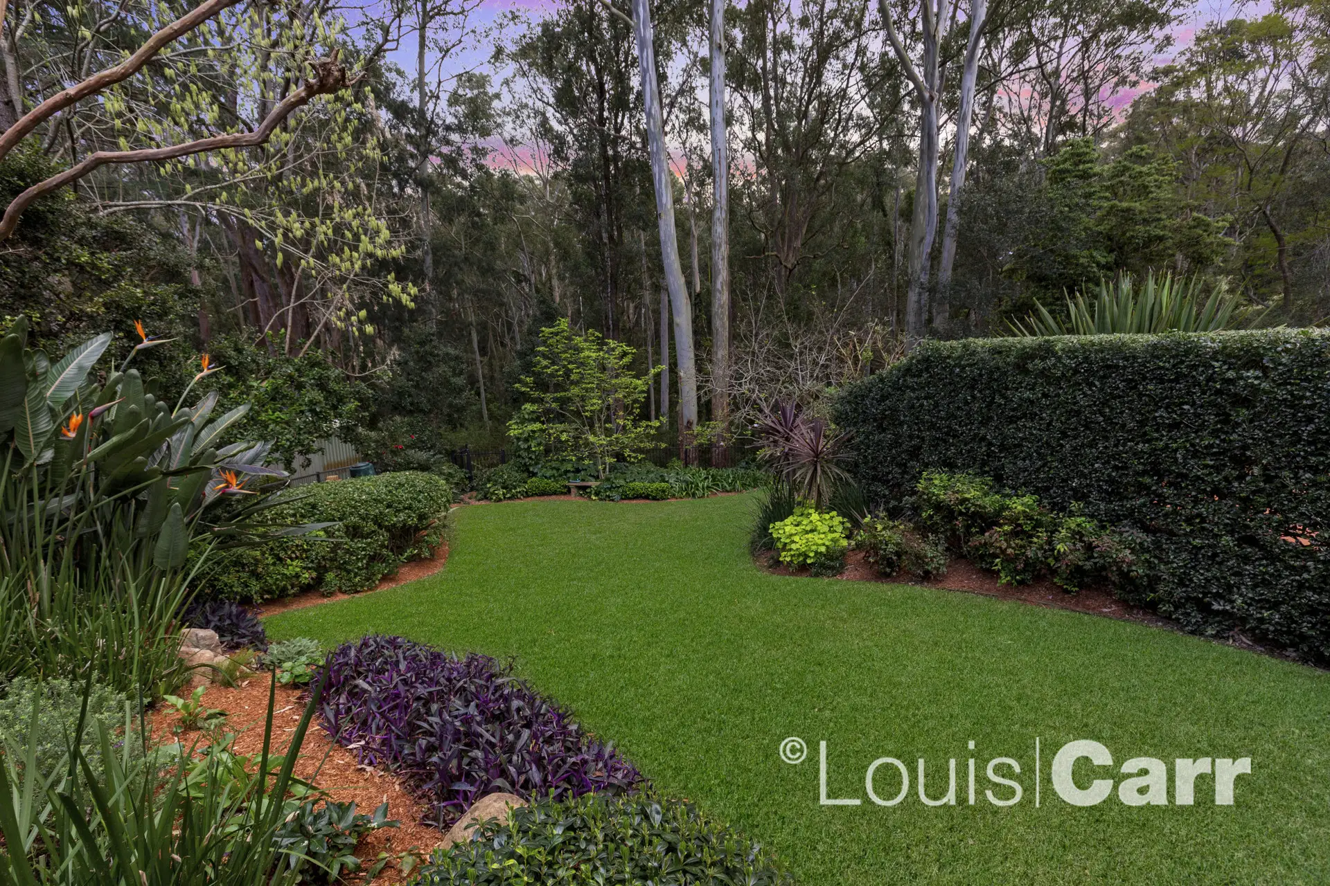 137 Oratava Avenue, West Pennant Hills Sold by Louis Carr Real Estate - image 8