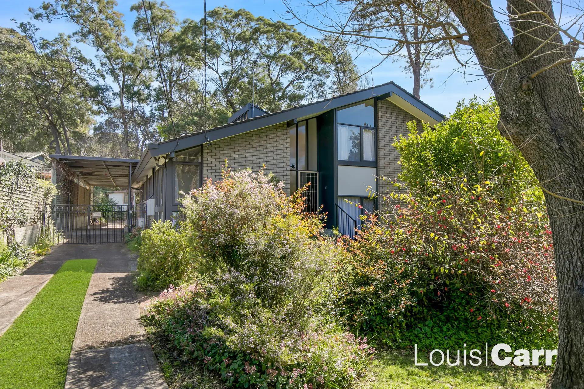 37 Fairburn Avenue, West Pennant Hills Leased by Louis Carr Real Estate - image 1