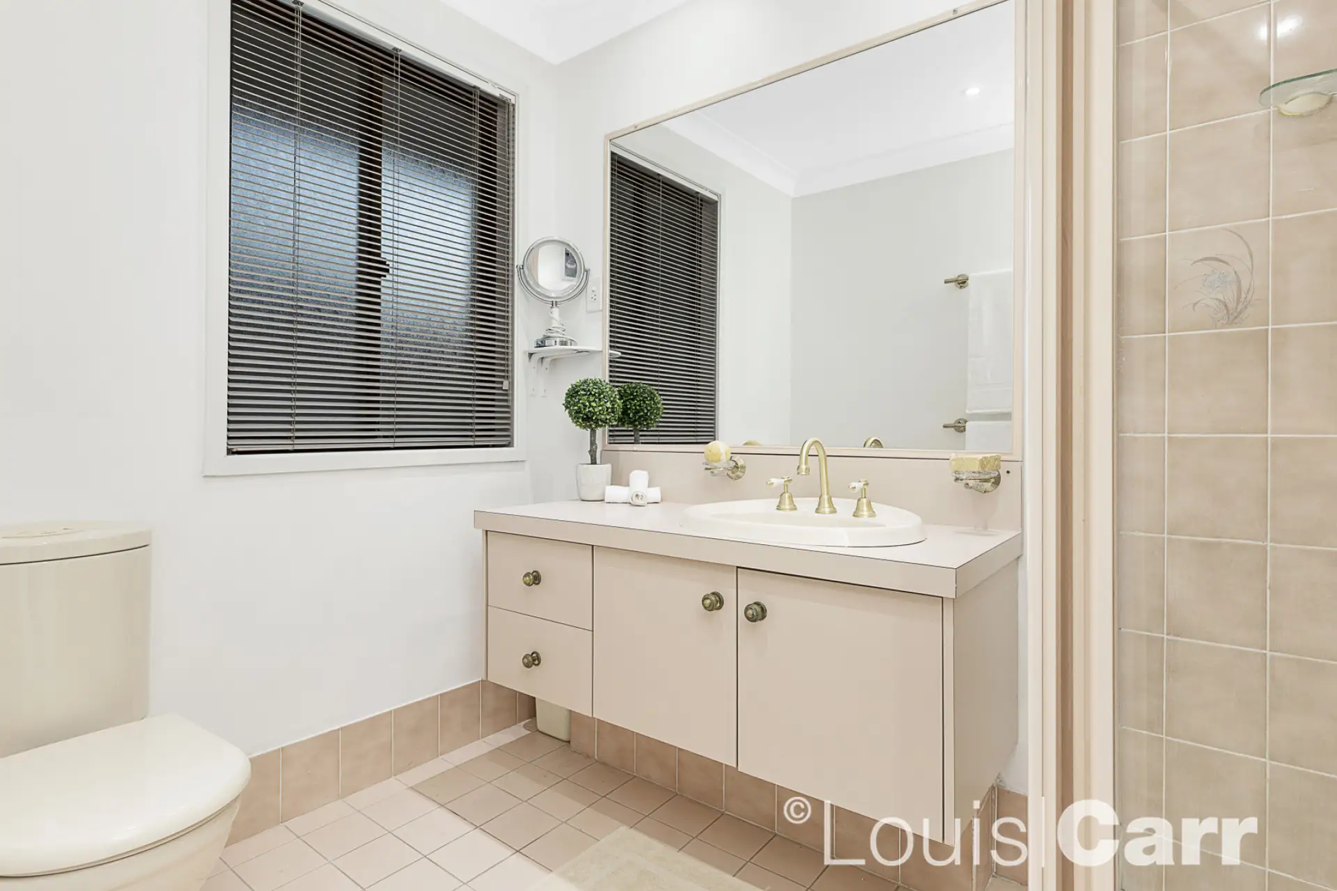 45 Linksley Avenue, Glenhaven Sold by Louis Carr Real Estate - image 7