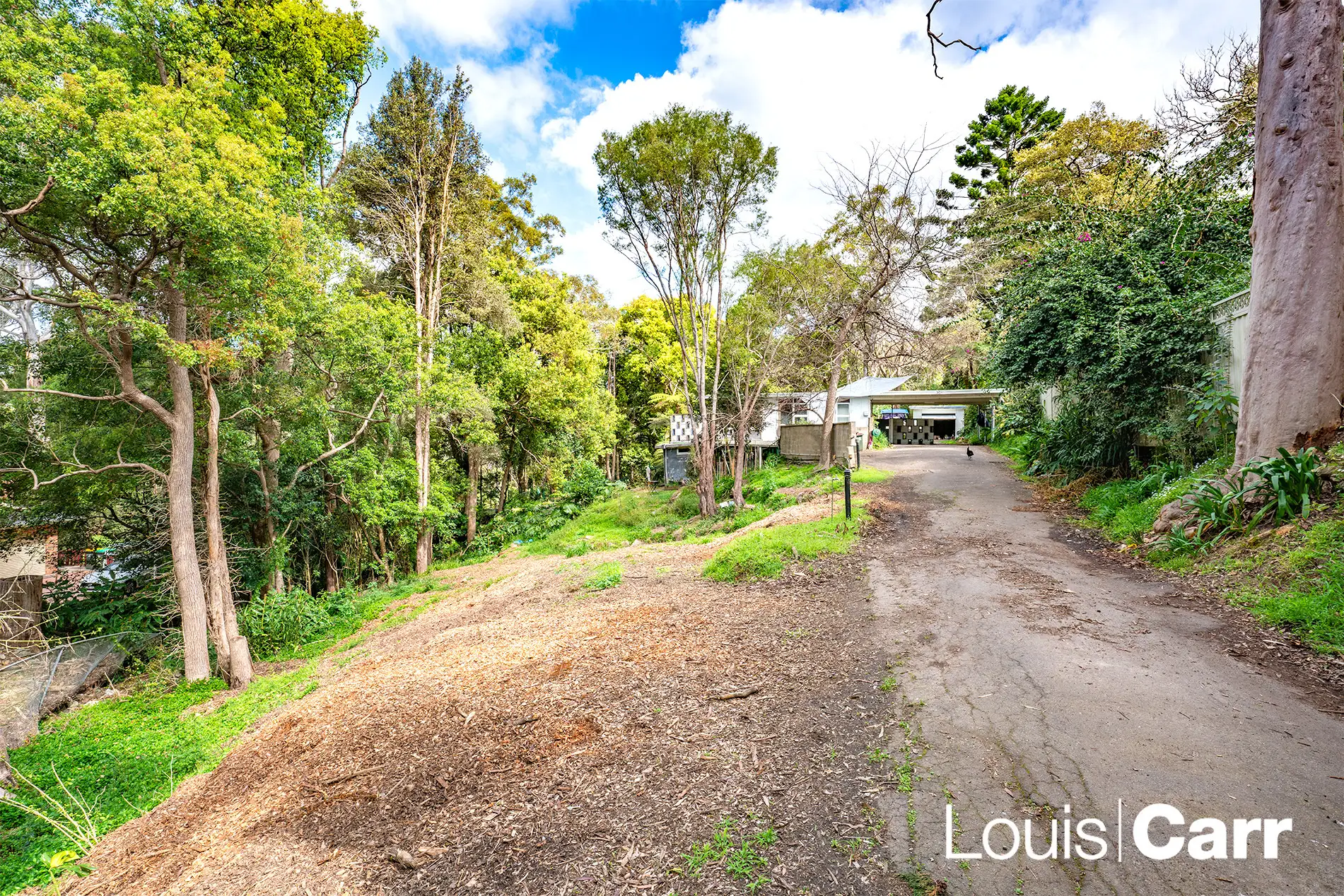 51 Ashley Street, Hornsby Sold by Louis Carr Real Estate - image 5