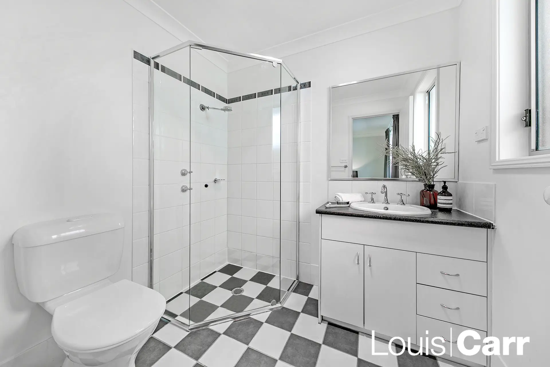 6 Brannan Street, Beaumont Hills Sold by Louis Carr Real Estate - image 7