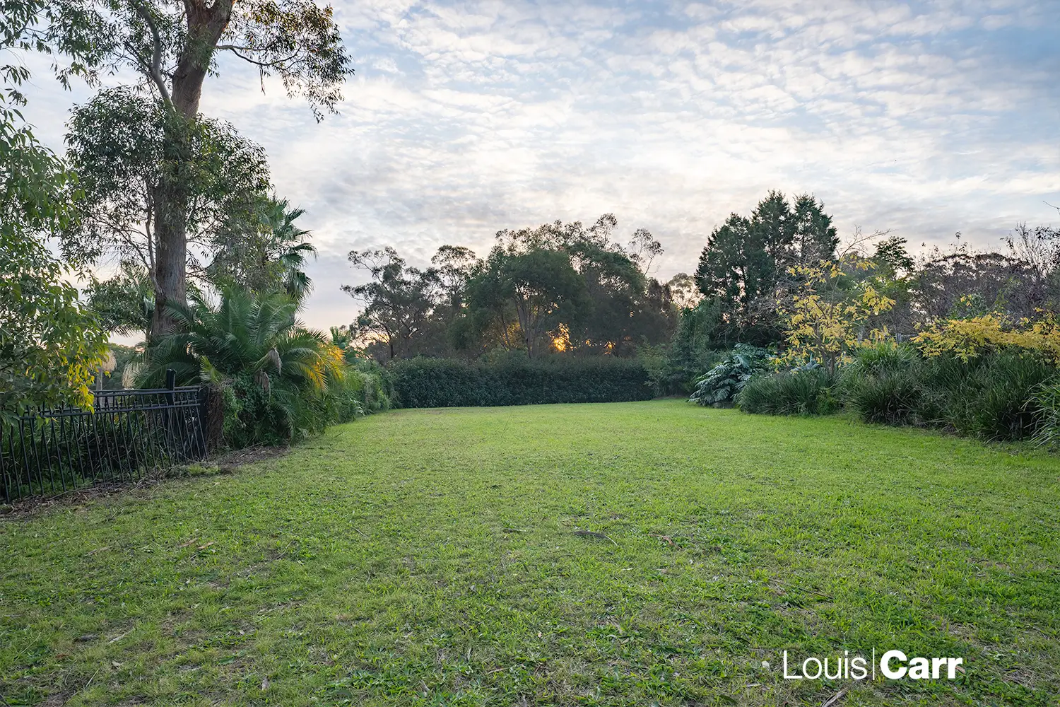 71 Fingal Avenue, Glenhaven Sold by Louis Carr Real Estate - image 7