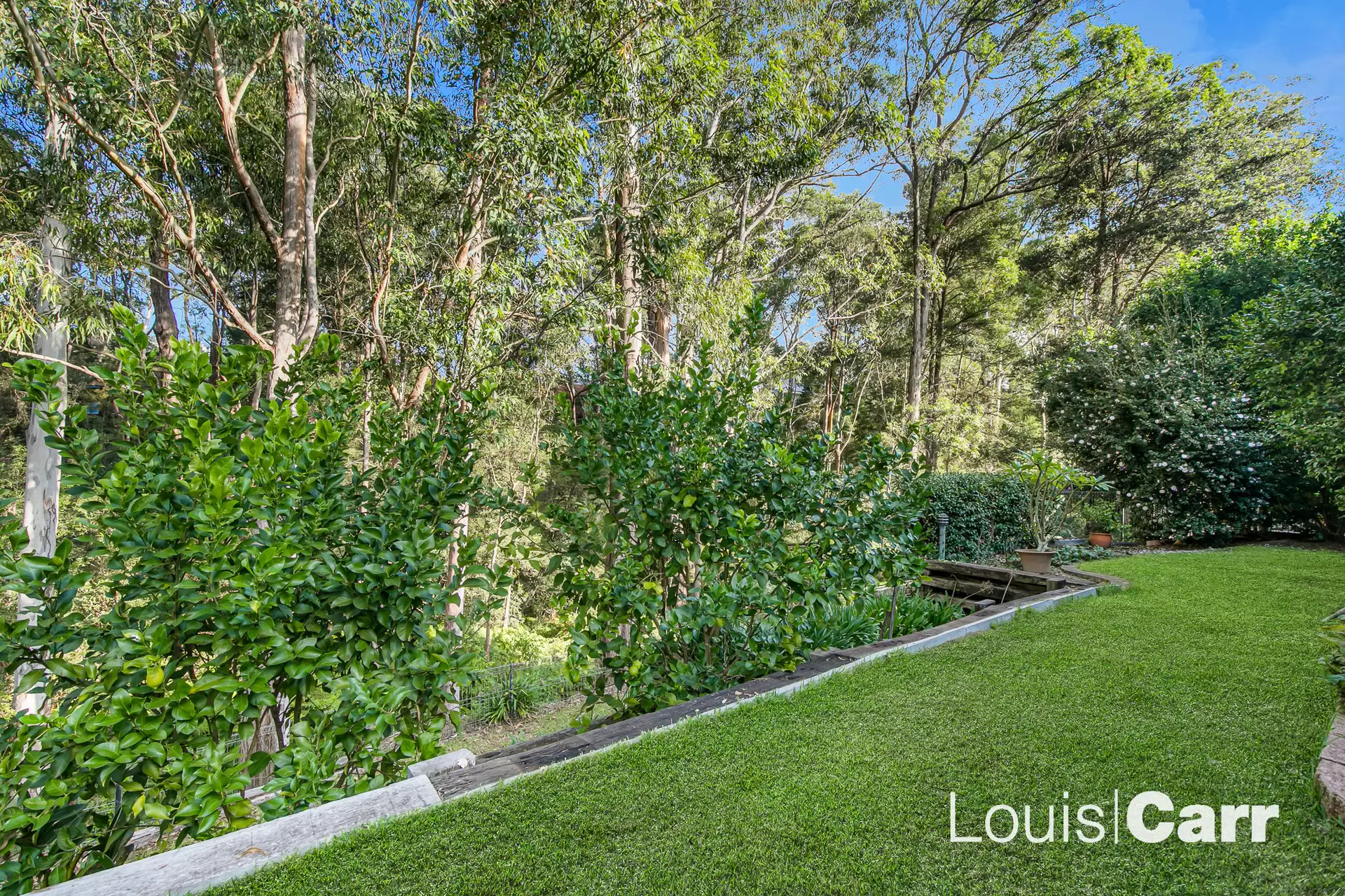 11 Elabana Crescent, Castle Hill For Sale by Louis Carr Real Estate - image 6