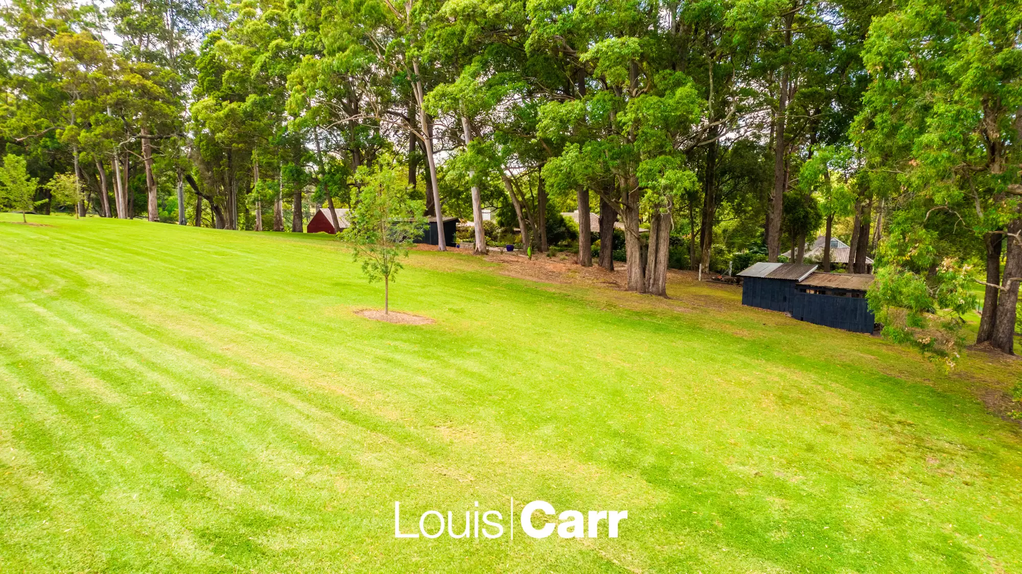 5 Wayfield Road, Glenhaven Sold by Louis Carr Real Estate - image 15