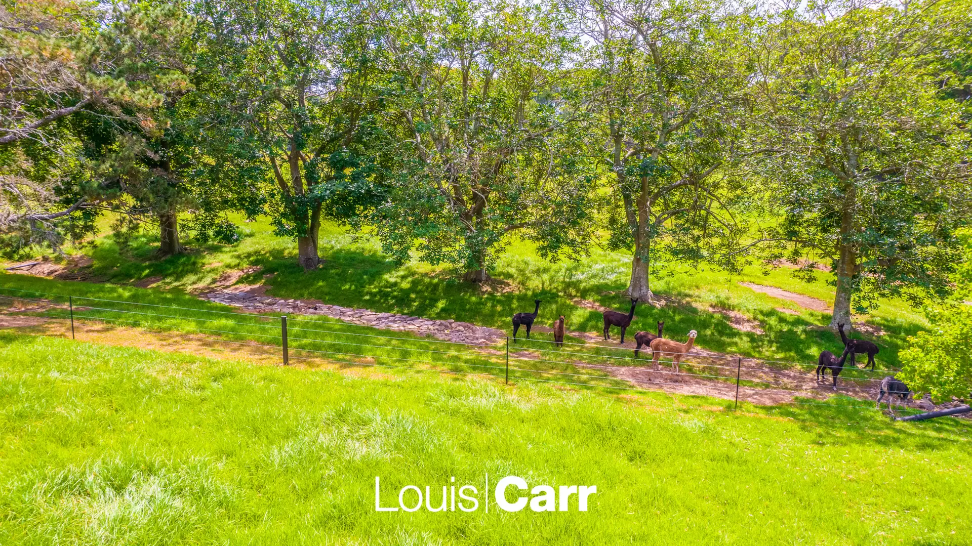 3 Wayfield Road, Glenhaven For Sale by Louis Carr Real Estate - image 1
