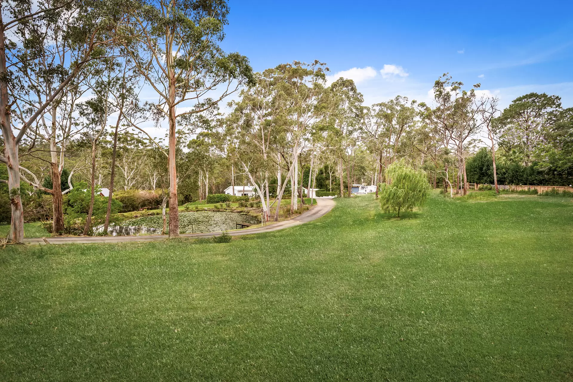 9 Wildthorn Avenue, Dural For Sale by Louis Carr Real Estate - image 16