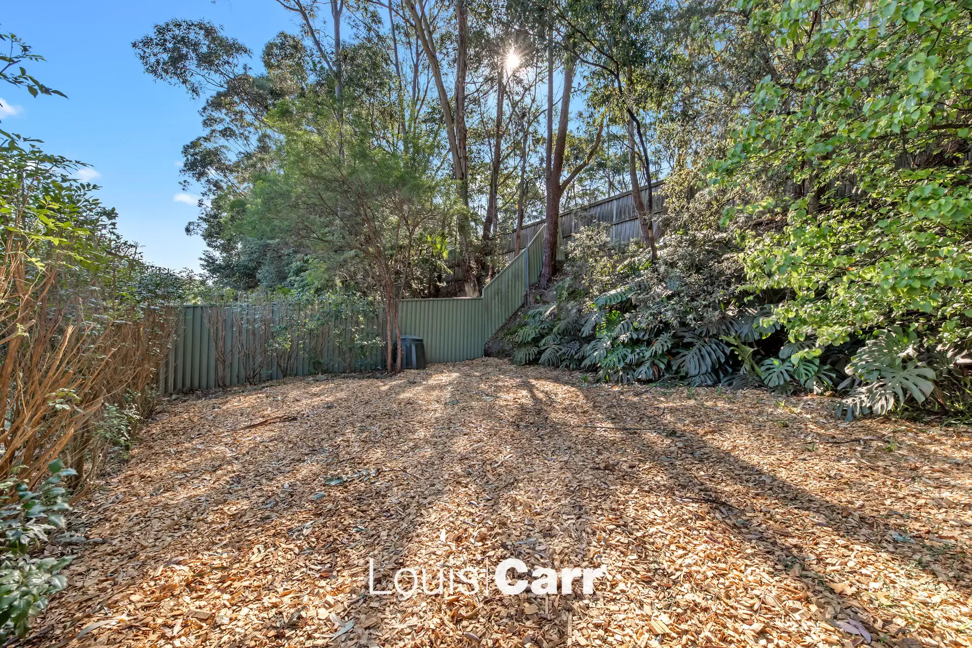 43B Kingussie Avenue, Castle Hill Auction by Louis Carr Real Estate - image 14