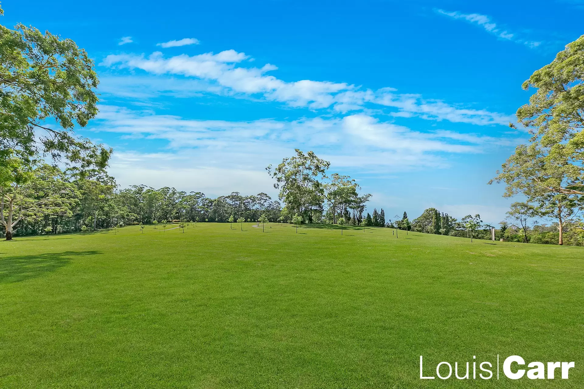 150 Old Castle Hill Road, Castle Hill For Sale by Louis Carr Real Estate - image 14