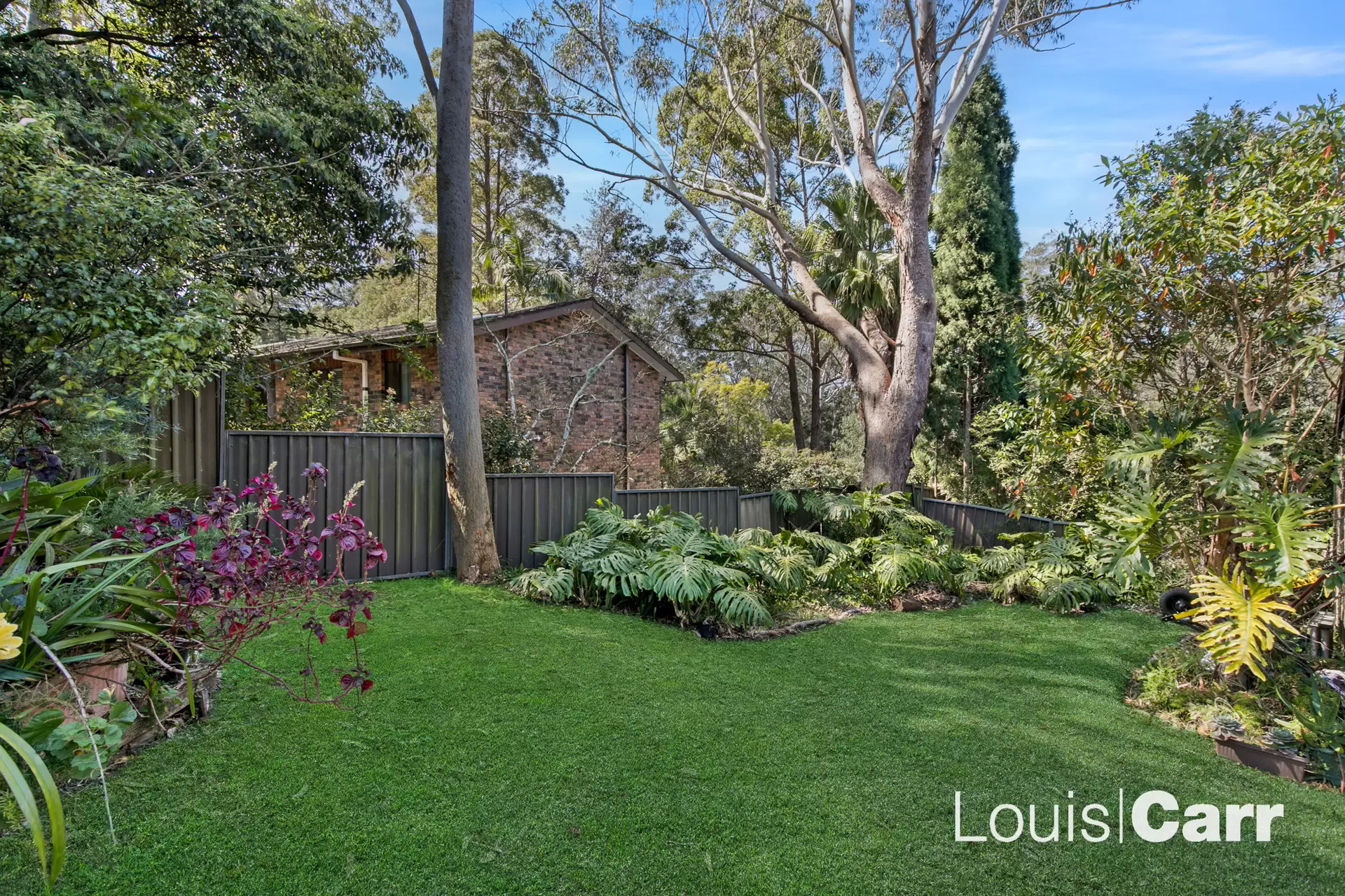 16 Lambe Place, Cherrybrook For Lease by Louis Carr Real Estate - image 9