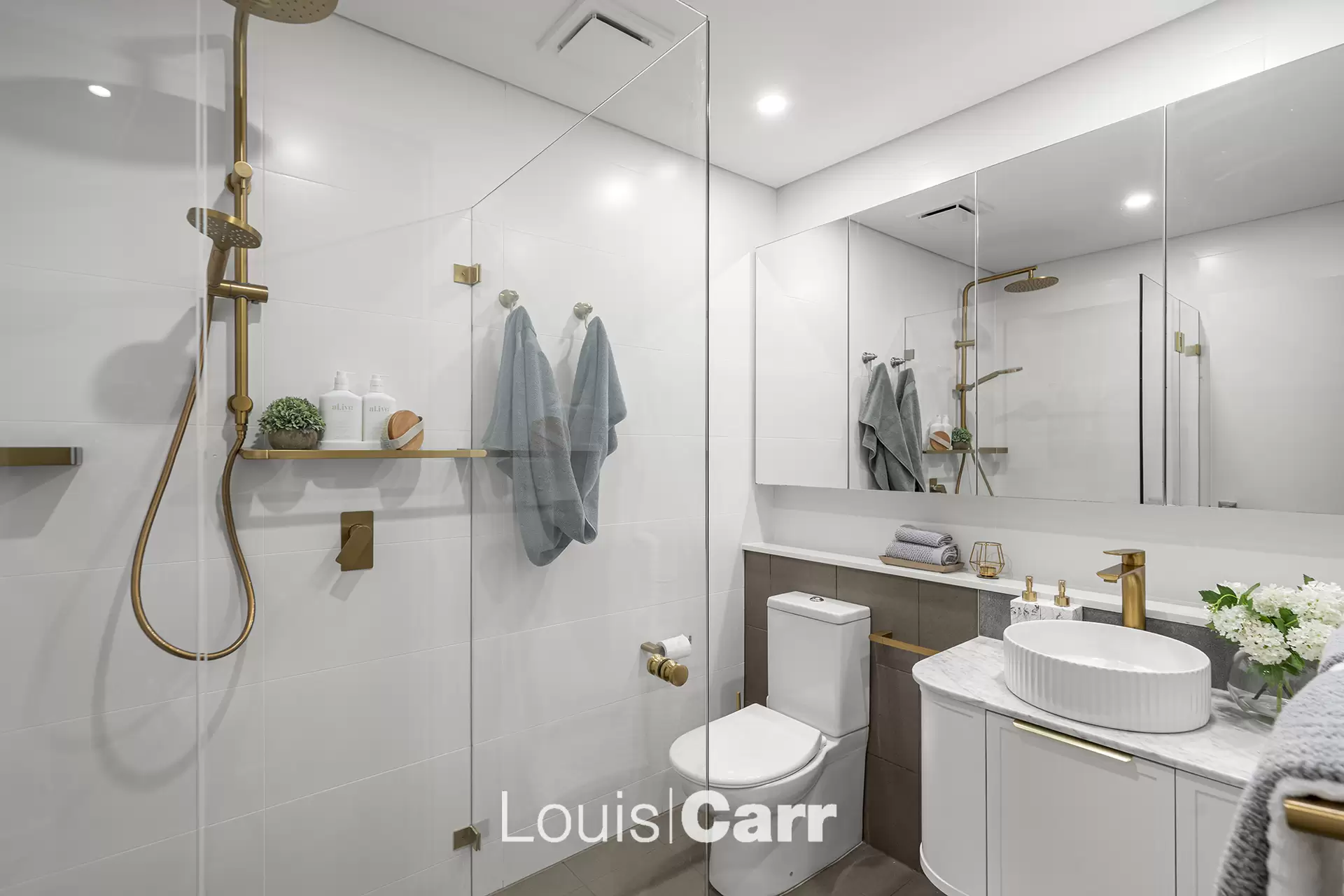 204/48 Peninsula Way, Norwest For Sale by Louis Carr Real Estate - image 12