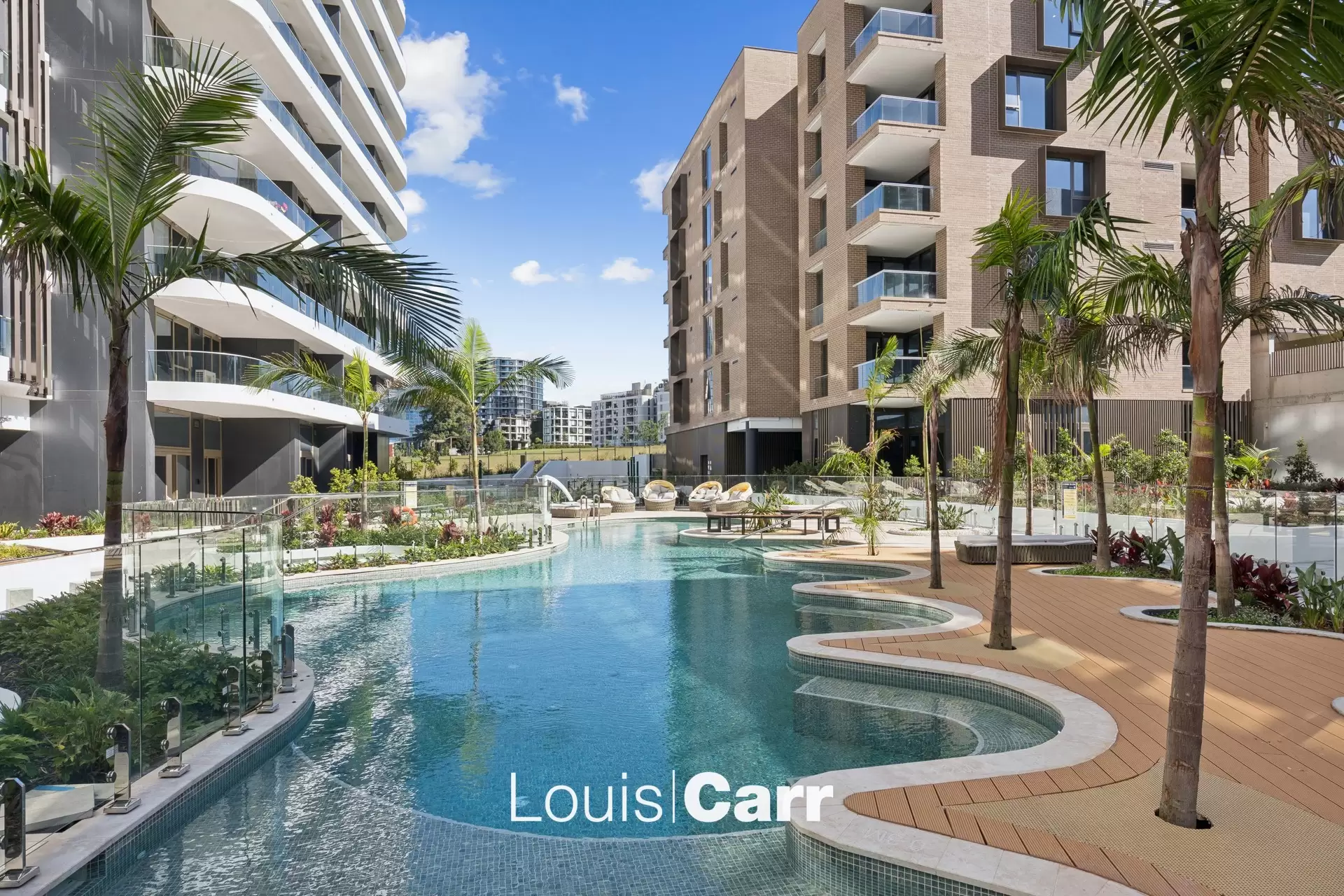 208/8 Maitland Place, Norwest For Lease by Louis Carr Real Estate - image 1