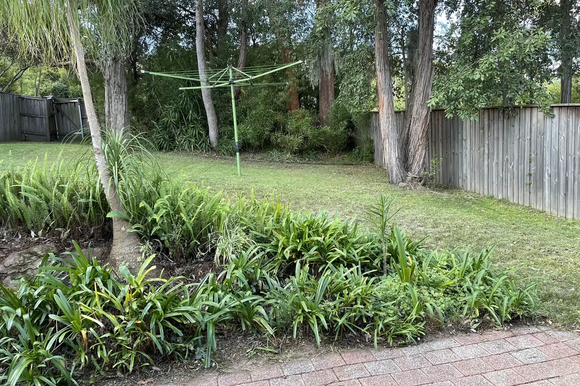 18a Elabana Crescent, Castle Hill For Lease by Louis Carr Real Estate - image 5