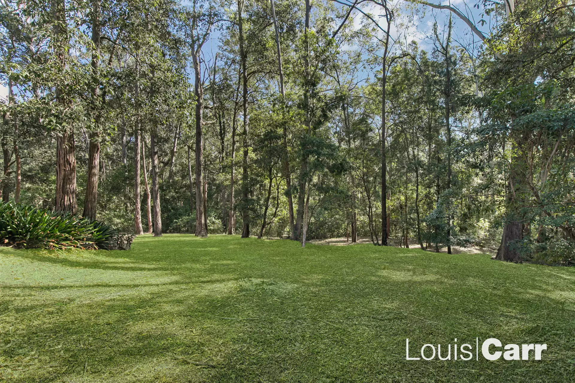20 Jordana Place, Castle Hill For Sale by Louis Carr Real Estate - image 14