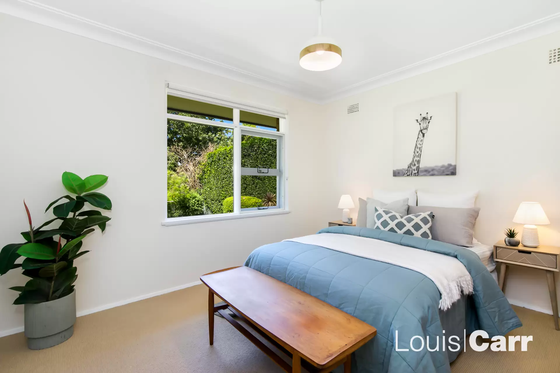 45 Lamorna Avenue, Beecroft For Lease by Louis Carr Real Estate - image 8